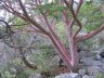 Martyan Nature Preserve4.JPG - 